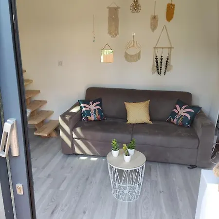 2 Etoiles La Tete Dans Les Pins Les Pieds Dans L Eau Apartment
